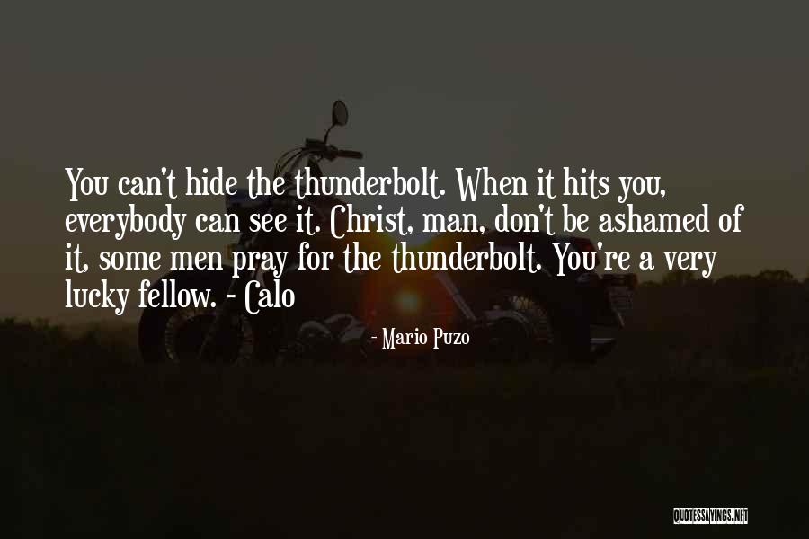 Tybello Quotes By Mario Puzo Tybello Quotes By Mario Puzo