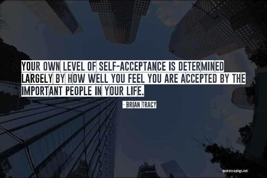 Tybush Mountain Quotes By Brian Tracy Tybush Mountain Quotes By Brian Tracy