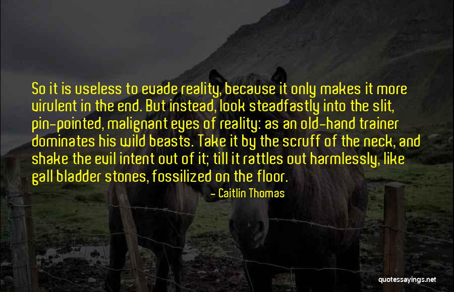 Tycka Rangers Quotes By Caitlin Thomas Tycka Rangers Quotes By Caitlin Thomas