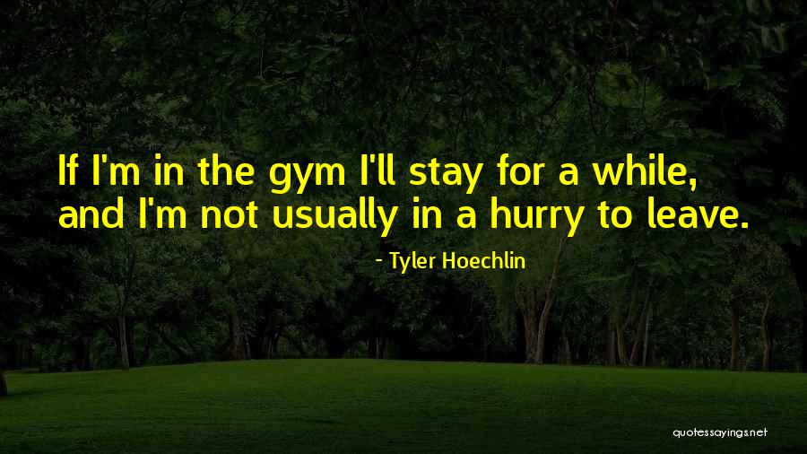 Tyler Hoechlin Quotes 273201