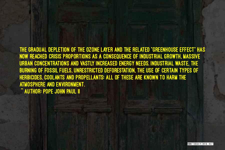 Types Of Energy Quotes By Pope John Paul II