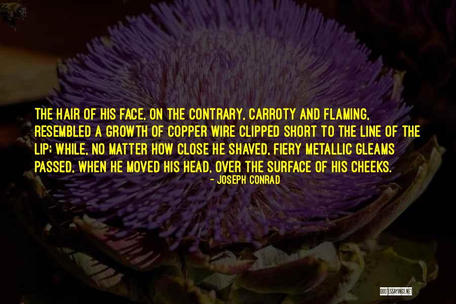 Typhoon Quotes By Joseph Conrad