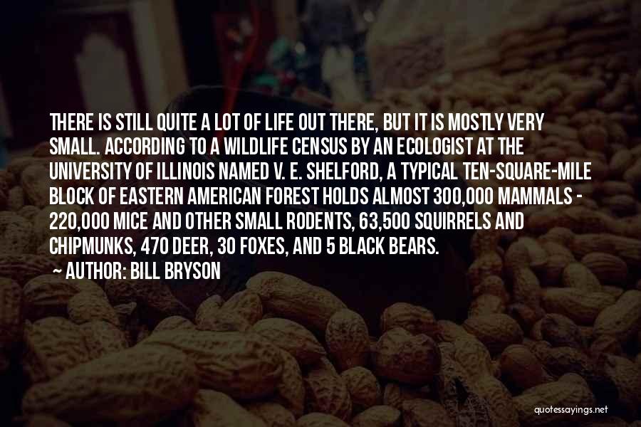 Typical American Quotes By Bill Bryson