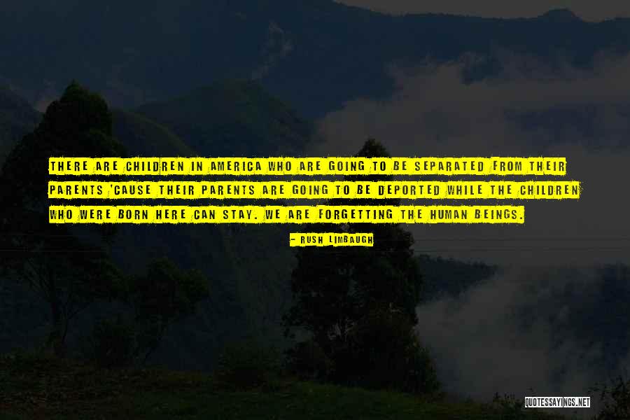 Typified Quotes By Rush Limbaugh Typified Quotes By Rush Limbaugh