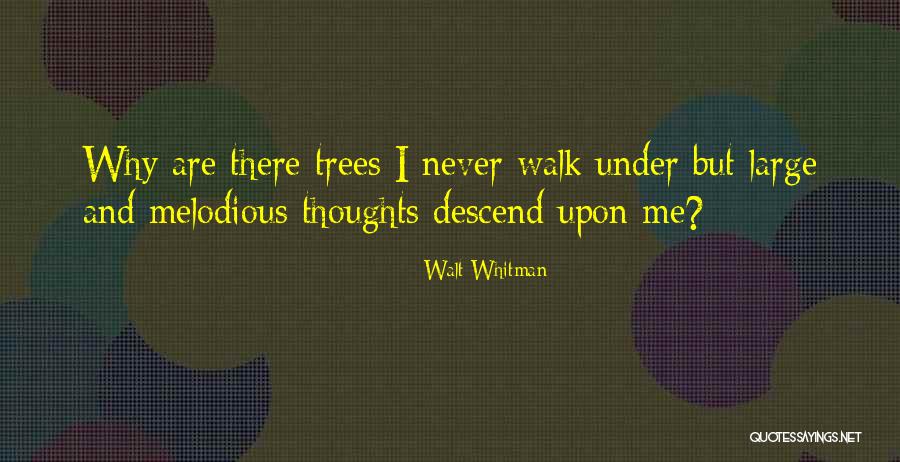 Tysickbaby Quotes By Walt Whitman Tysickbaby Quotes By Walt Whitman