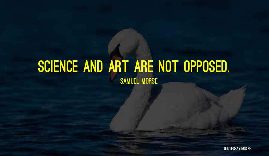 Tysons Porsche Quotes By Samuel Morse