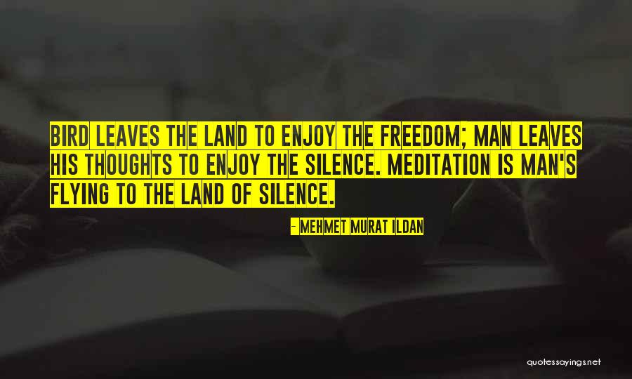Tytti Marjatta Quotes By Mehmet Murat Ildan Tytti Marjatta Quotes By Mehmet Murat Ildan