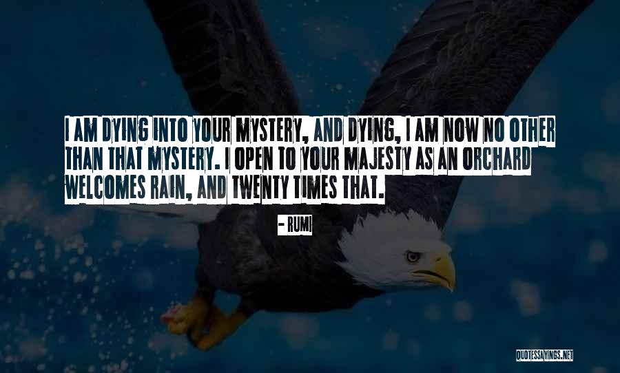 Tzadik Quotes By Rumi Tzadik Quotes By Rumi