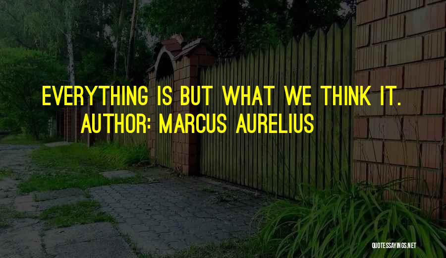 Tzahi Halevi Quotes By Marcus Aurelius