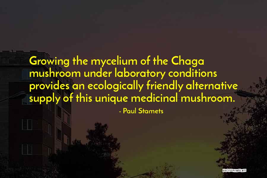 Tzusoftomorrow Quotes By Paul Stamets Tzusoftomorrow Quotes By Paul Stamets
