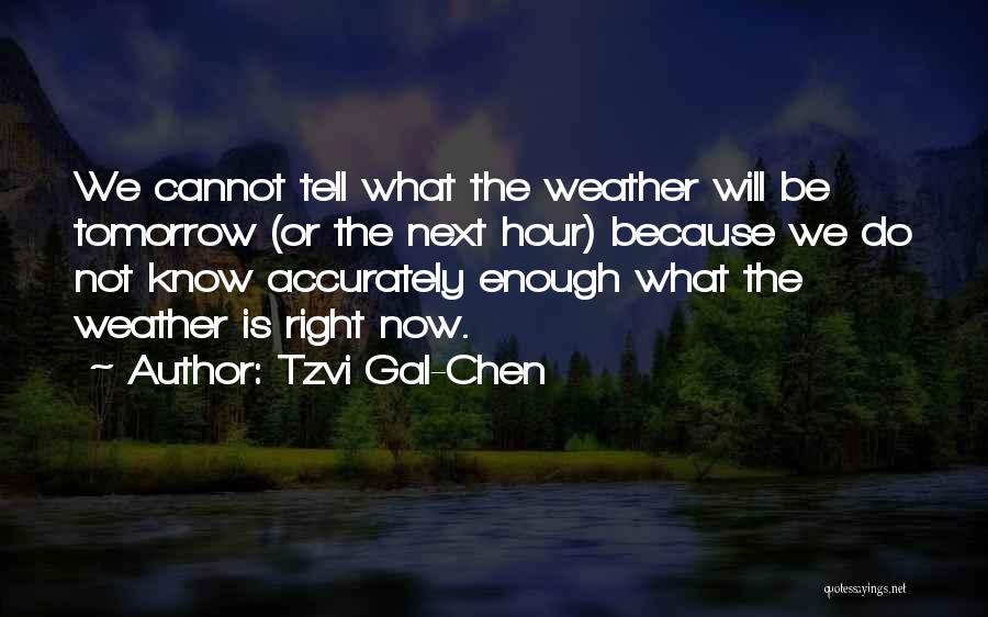 Tzvi Gal-Chen Quotes 1300422