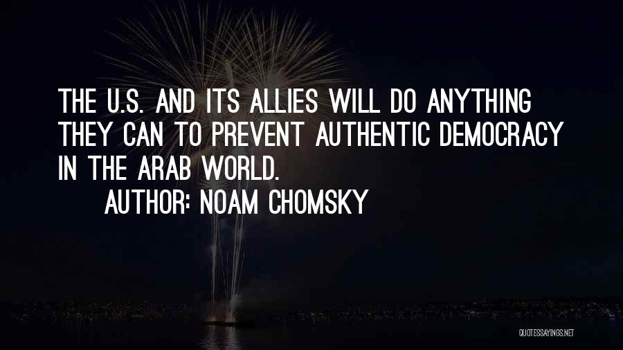 U Can Do Anything Quotes By Noam Chomsky