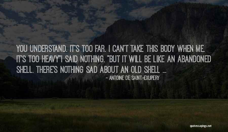 U Cant Understand Me Quotes By Antoine De Saint-Exupery U Cant Understand Me Quotes By Antoine De Saint-Exupery
