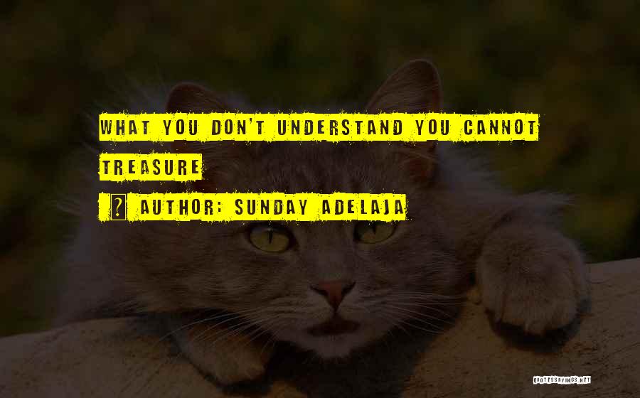 U Dont Understand Quotes By Sunday Adelaja