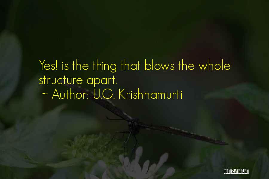 U.G. Krishnamurti Quotes 2065556