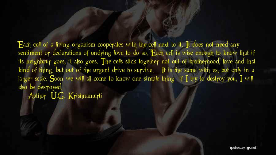 U.G. Krishnamurti Quotes 693742