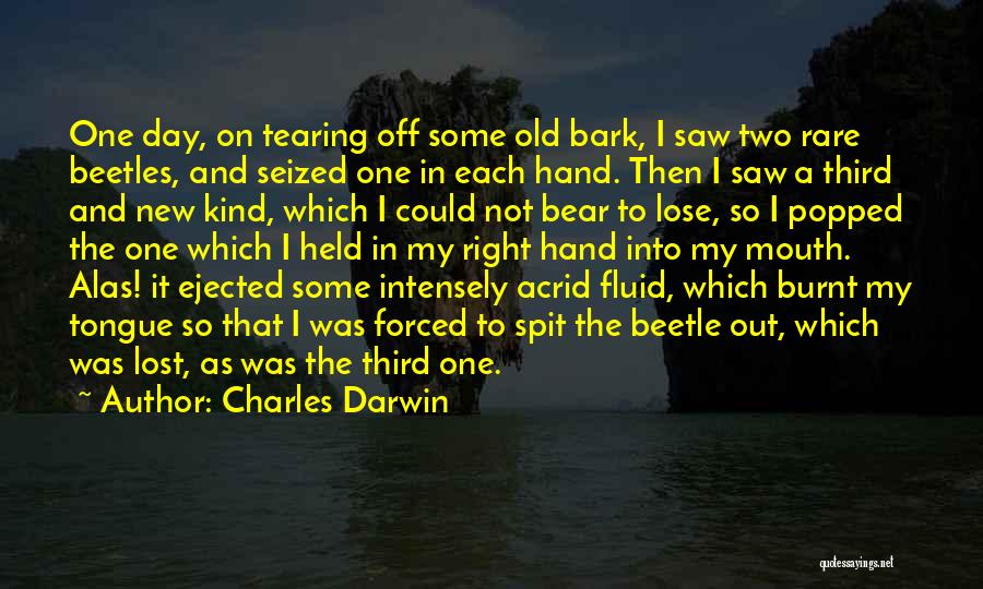 U Lost The Best Thing Quotes By Charles Darwin