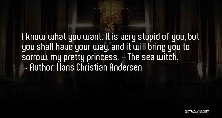 U.s. Andersen Quotes By Hans Christian Andersen
