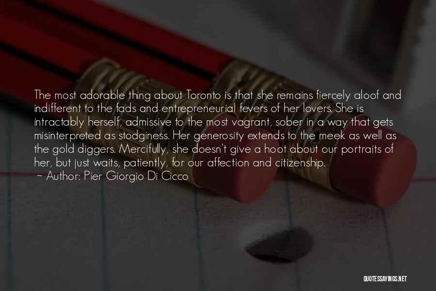 U.s. Citizenship Quotes By Pier Giorgio Di Cicco