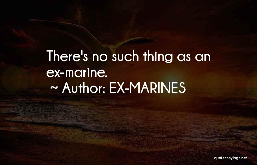 U.s. Marines Quotes By EX-MARINES