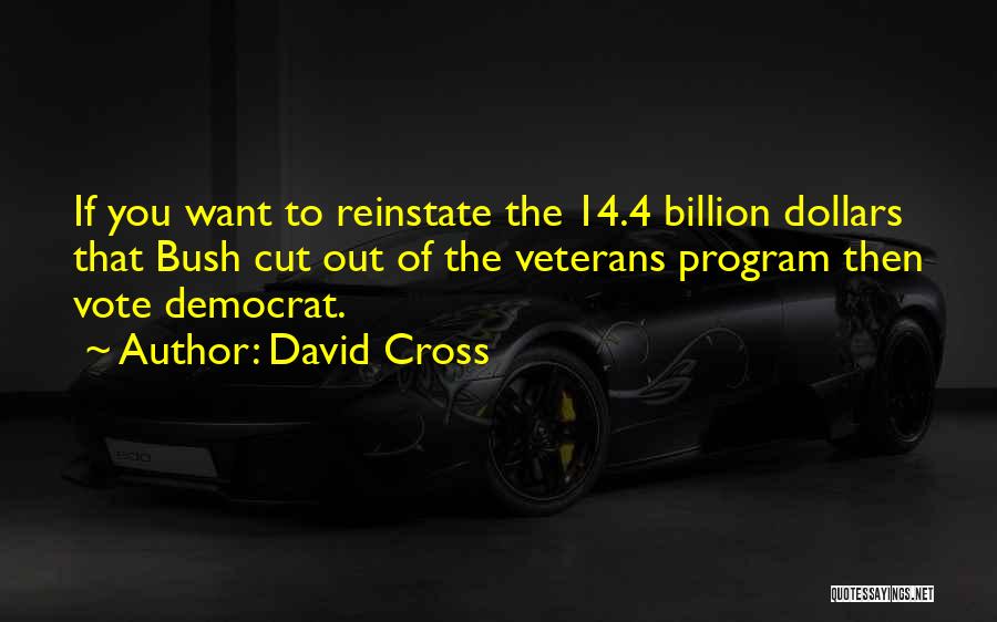 U.s. Veterans Quotes By David Cross