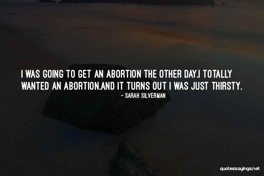 U Turns Quotes By Sarah Silverman U Turns Quotes By Sarah Silverman