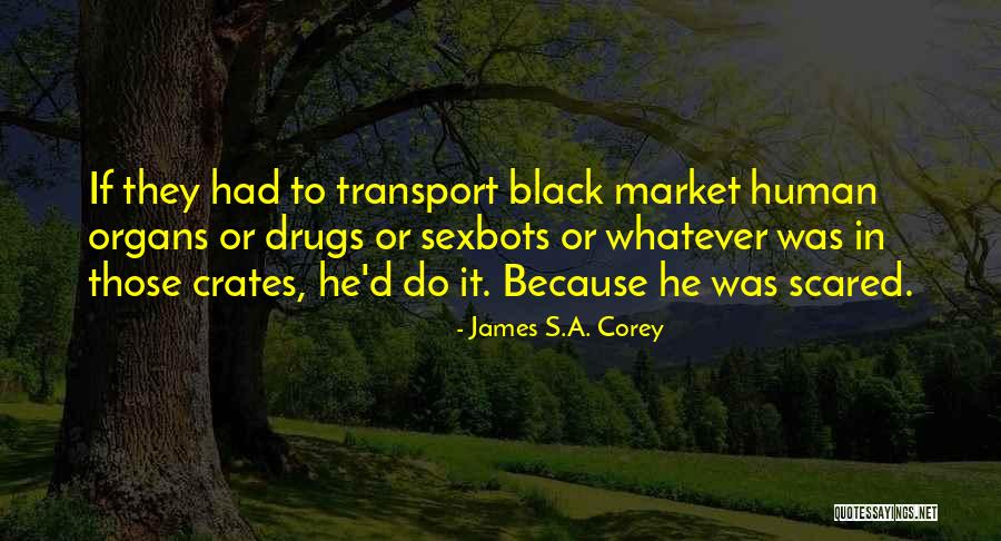 Uasdraiders Quotes By James S.A. Corey Uasdraiders Quotes By James S.A. Corey