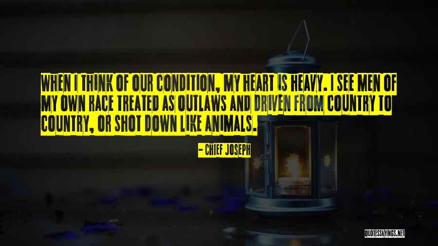 Ubirajara Sabbag Quotes By Chief Joseph Ubirajara Sabbag Quotes By Chief Joseph
