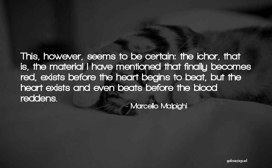Uchenna Acholonu Quotes By Marcello Malpighi