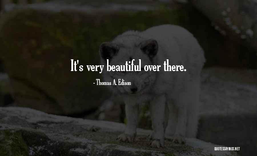 Uchitel Tiger Quotes By Thomas A. Edison Uchitel Tiger Quotes By Thomas A. Edison