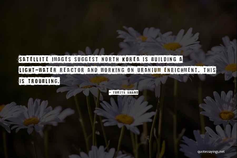 Ucionica Quotes By Yukiya Amano Ucionica Quotes By Yukiya Amano