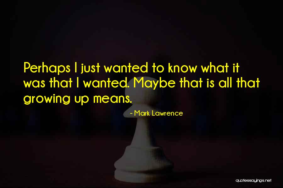 Udeh Nnamdi Quotes By Mark Lawrence Udeh Nnamdi Quotes By Mark Lawrence