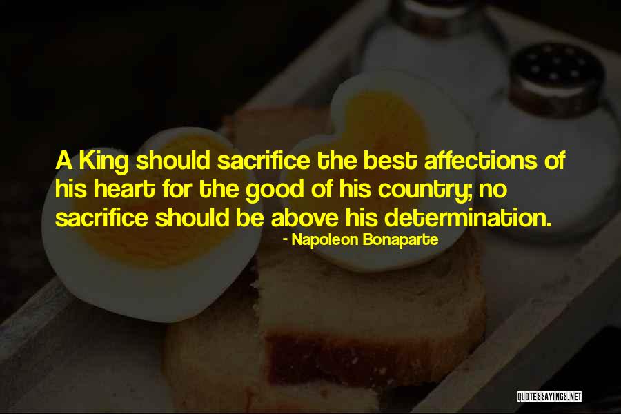 Udet Quito Quotes By Napoleon Bonaparte Udet Quito Quotes By Napoleon Bonaparte