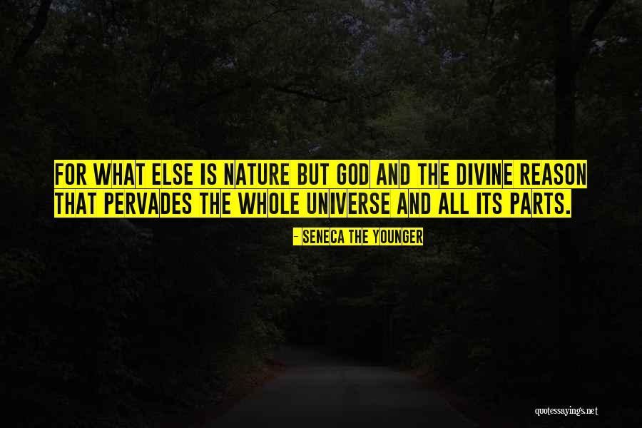 Udovitch Quotes By Seneca The Younger Udovitch Quotes By Seneca The Younger