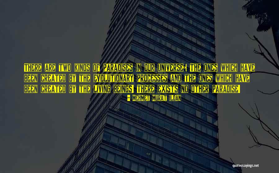 Udyog Aadhaar Quotes By Mehmet Murat Ildan Udyog Aadhaar Quotes By Mehmet Murat Ildan