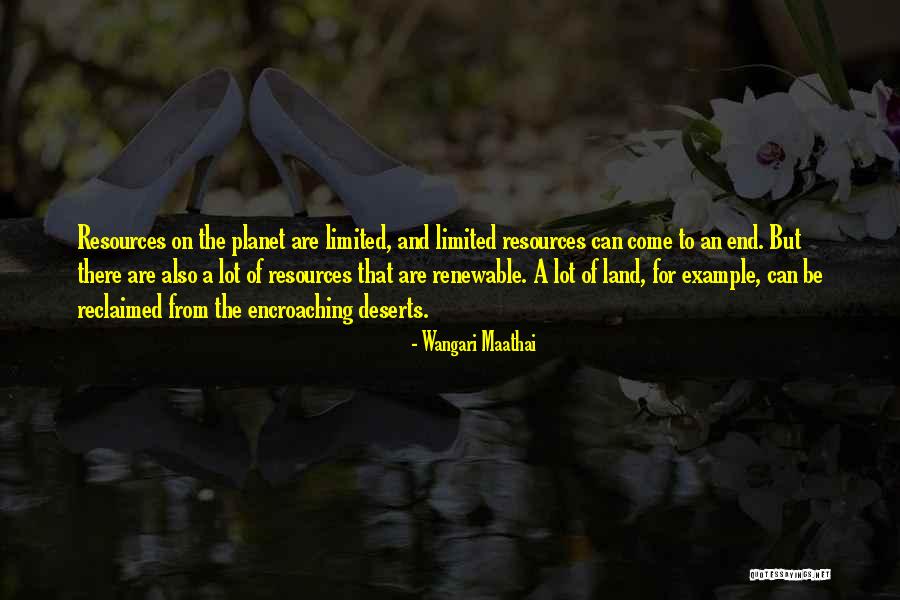 Uebersetzung Deutsch Franzoesisch Quotes By Wangari Maathai Uebersetzung Deutsch Franzoesisch Quotes By Wangari Maathai
