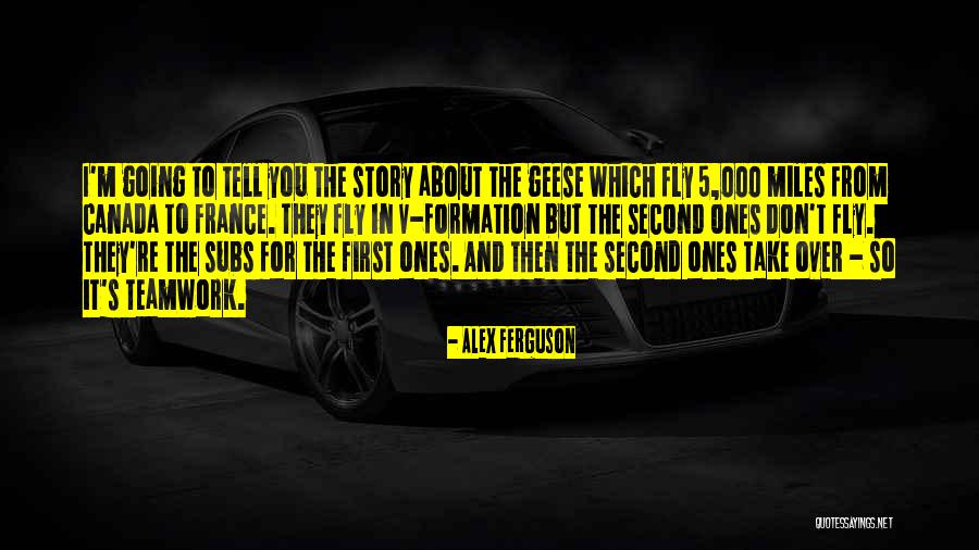 Uela Quotes By Alex Ferguson Uela Quotes By Alex Ferguson