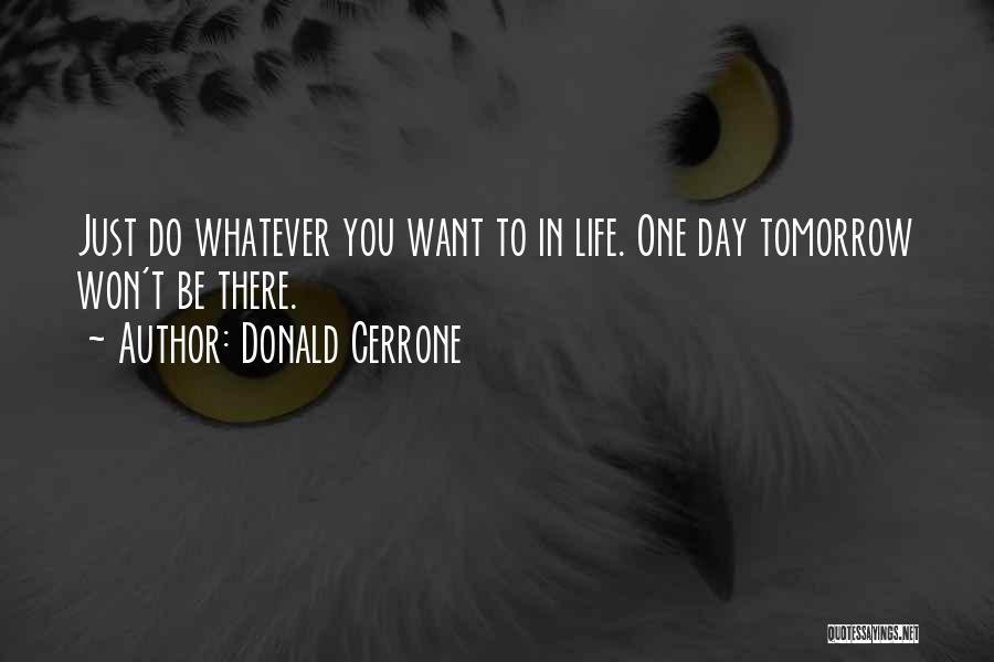 Ufc Quotes By Donald Cerrone