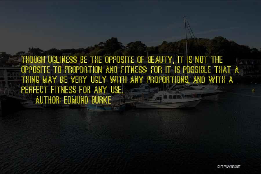 Ugliness And Beauty Quotes By Edmund Burke