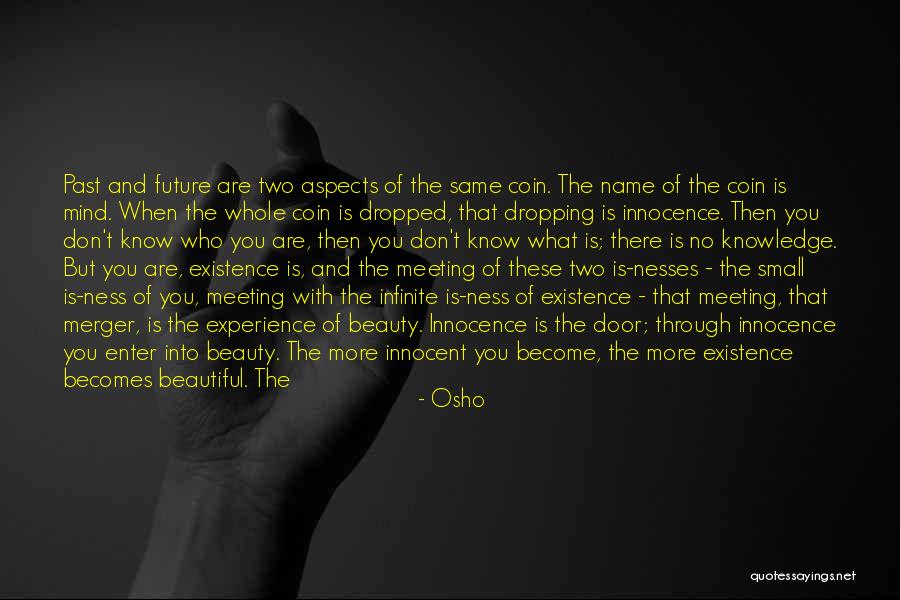 Ugly And Beauty Quotes By Osho Ugly And Beauty Quotes By Osho