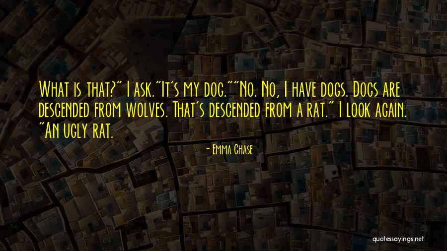 Ugly Dog Quotes By Emma Chase Ugly Dog Quotes By Emma Chase