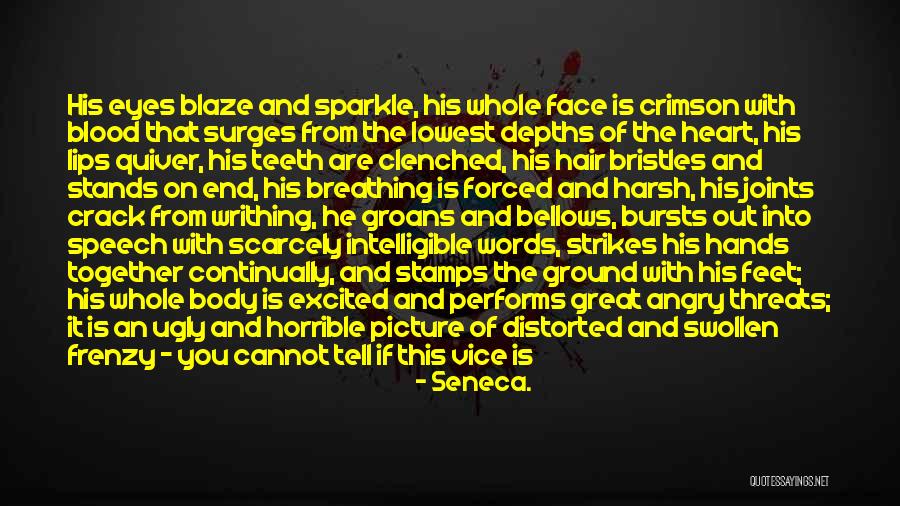 Ugly Face Quotes By Seneca.