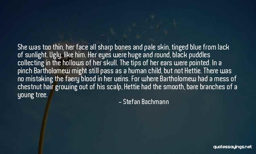 Ugly Face Quotes By Stefan Bachmann Ugly Face Quotes By Stefan Bachmann