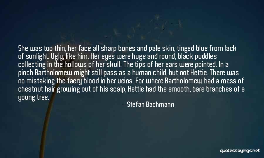 Ugly Face Quotes By Stefan Bachmann