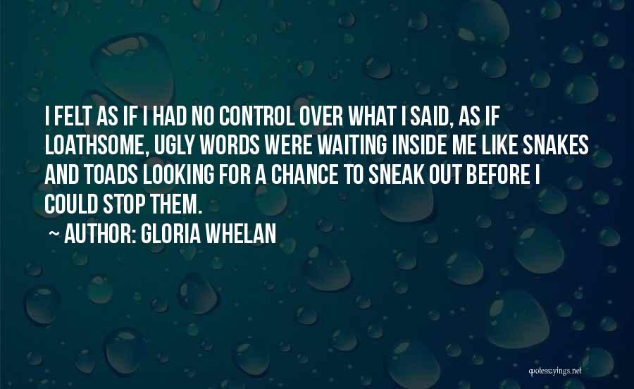 Ugly Inside Out Quotes By Gloria Whelan