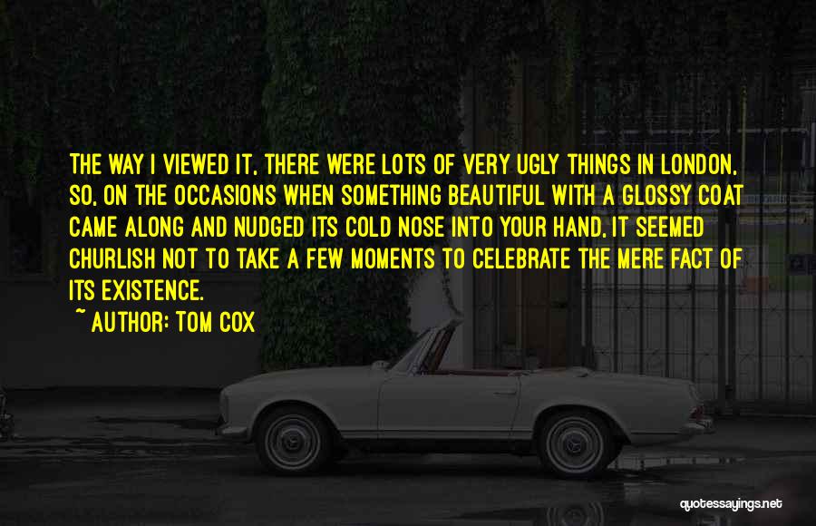 Ugly To Beautiful Quotes By Tom Cox