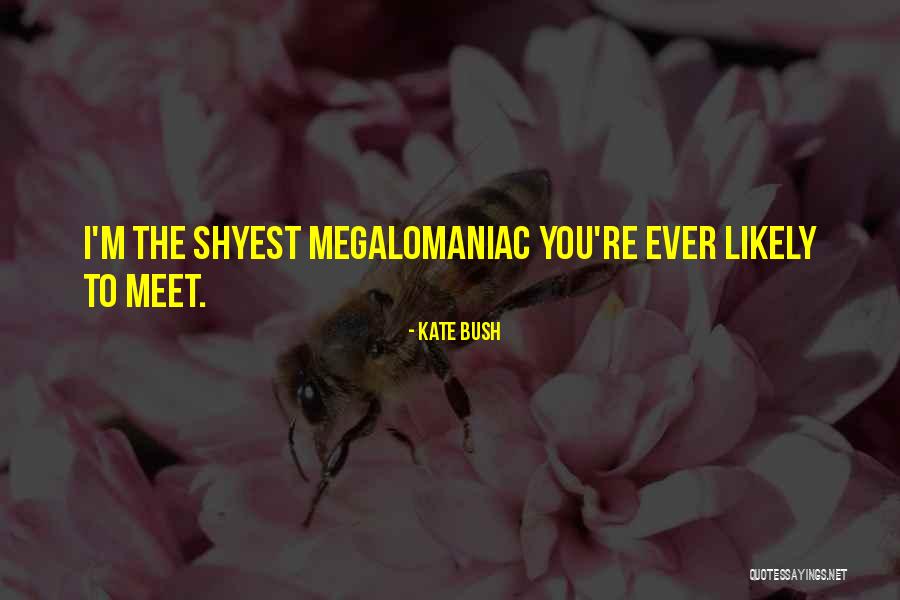 Ugodno Popodne Quotes By Kate Bush