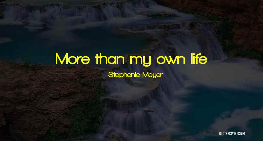 Ugurtan Sayiner Quotes By Stephenie Meyer