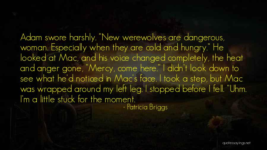 Uhm Quotes By Patricia Briggs Uhm Quotes By Patricia Briggs