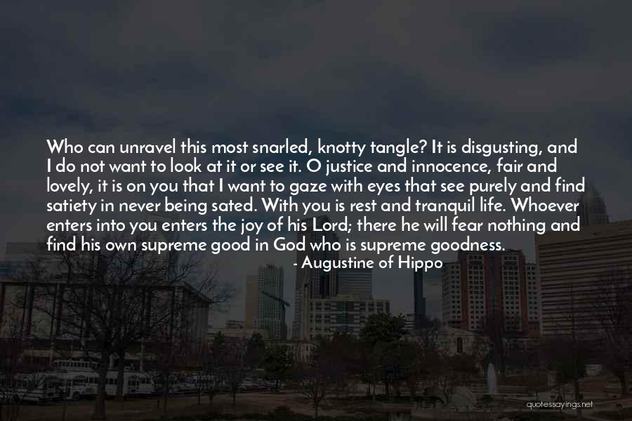 Uieren Quotes By Augustine Of Hippo Uieren Quotes By Augustine Of Hippo